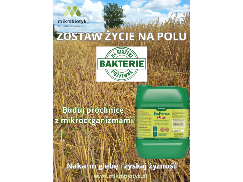 Resztki pożniwne to pokarm dla gleby